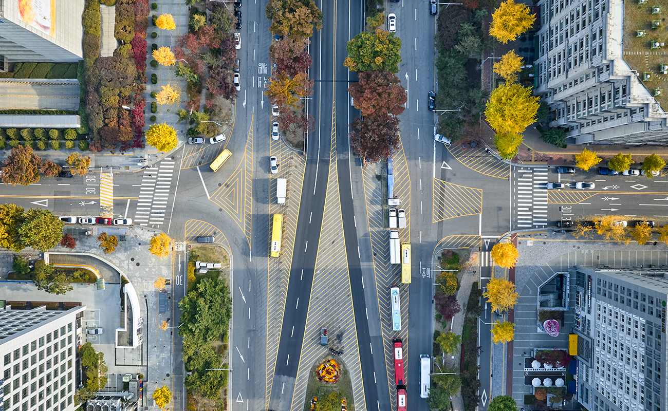변화를 앞둔 양지 