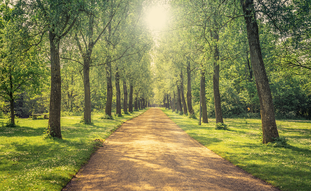 공원을 품은 쾌적한 삶 
